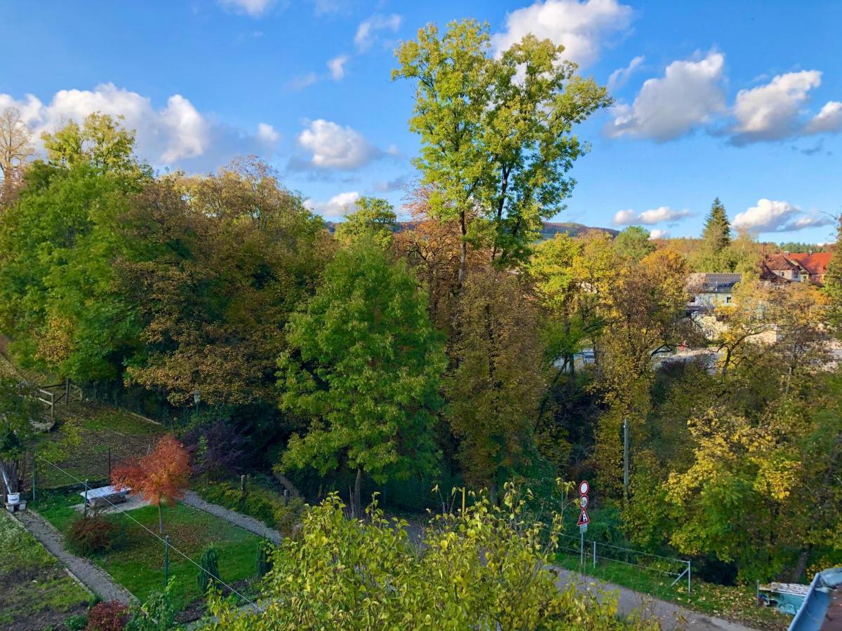 Ferienwohnung Im Gruenen Auf Idyllisch Gelegenen Gutshof Und Doch So Zentral Waldshut-Tiengen Bagian luar foto